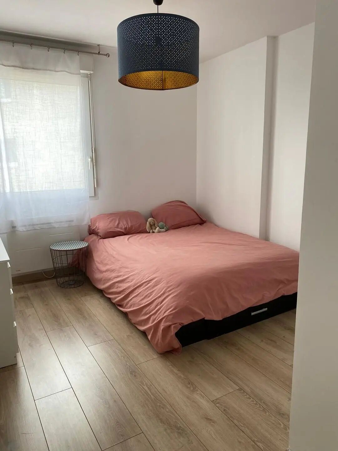 Appartement à louer, 54m², Villeurbanne