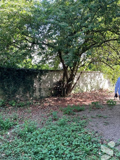 Appartement à vendre, 50m², La Ferté-Macé