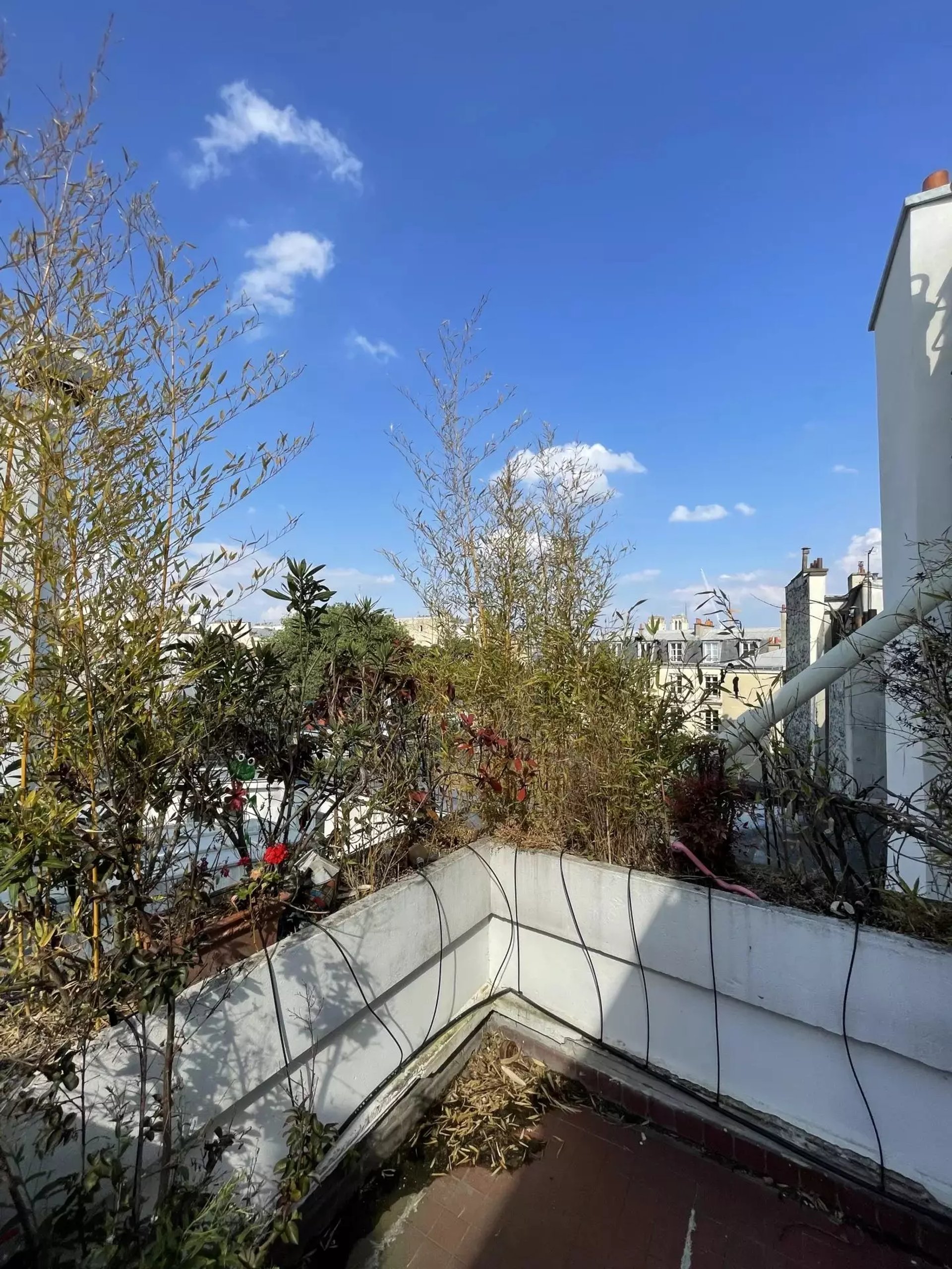 Maison à vendre, 53m², Paris 6ème