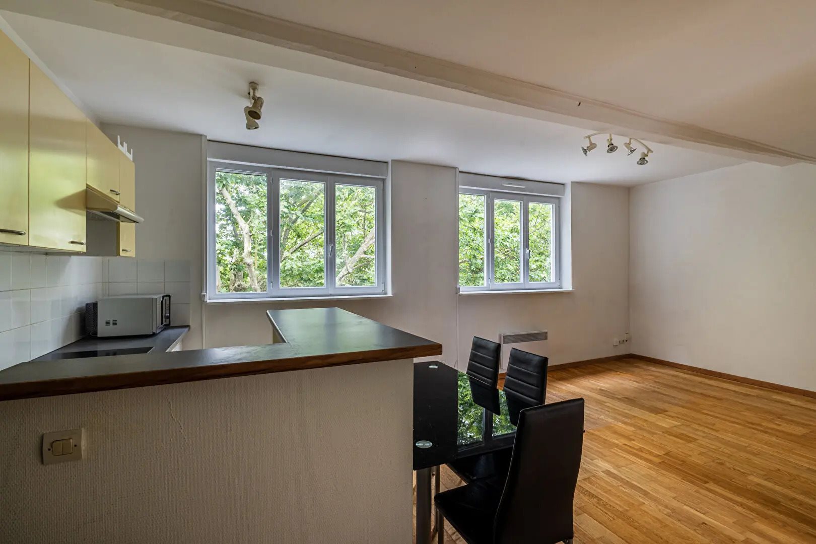 Appartement à vendre, 50m², Lille