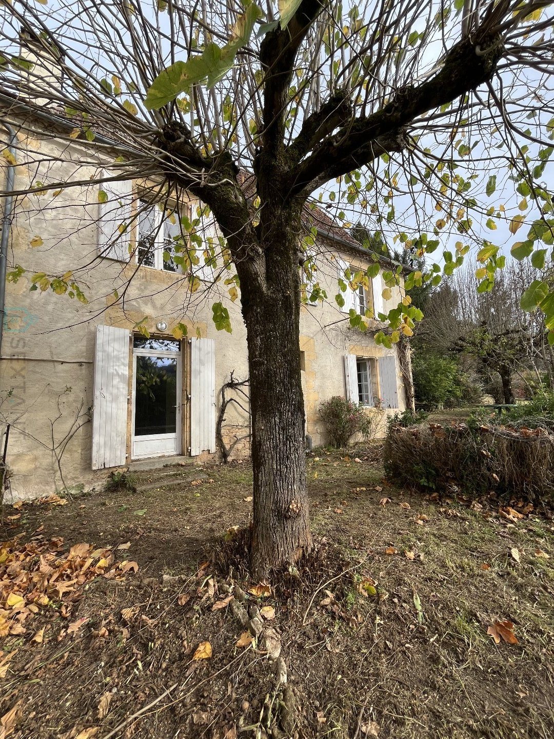 Maison à vendre, 184m², Les Eyzies-de-Tayac-Sireuil