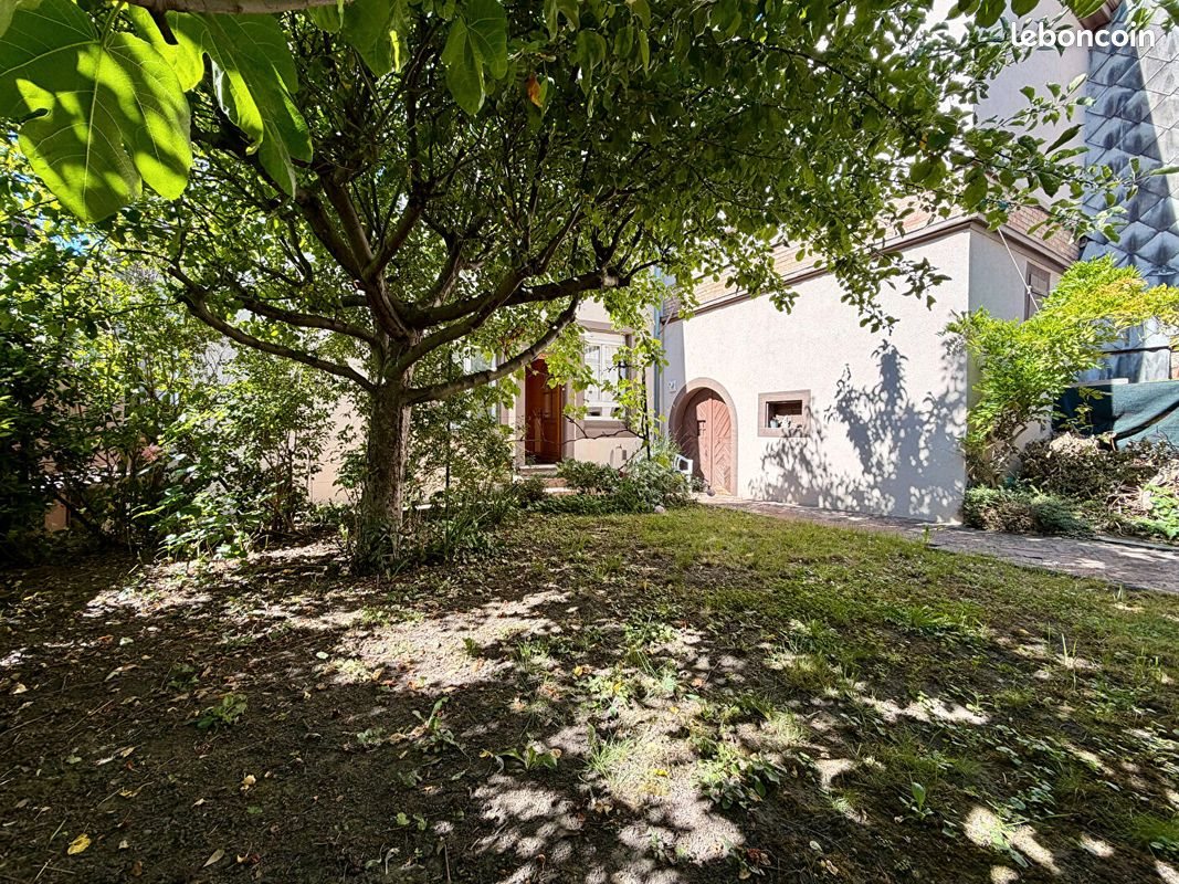 Maison à vendre, 161m², Guebwiller