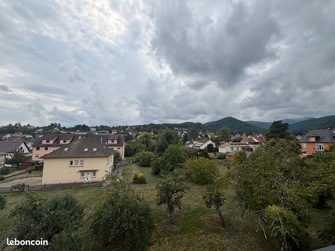 Appartement à vendre, 69m², Thann