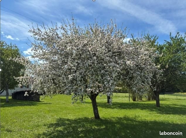 Maison à vendre, 96m², Combeaufontaine