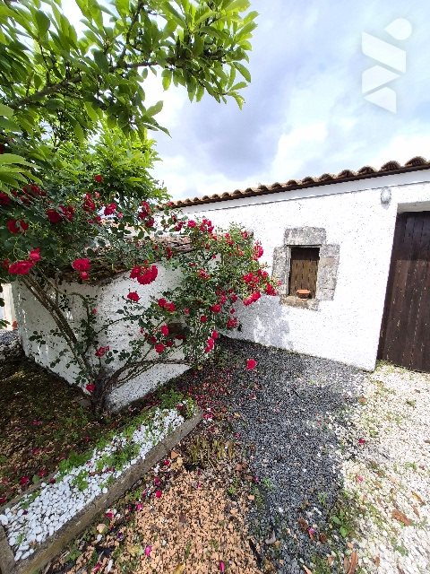 Maison à vendre, 139m², Le Loroux-Bottereau