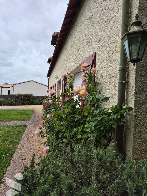 Maison à vendre, 206m², Le Loroux-Bottereau