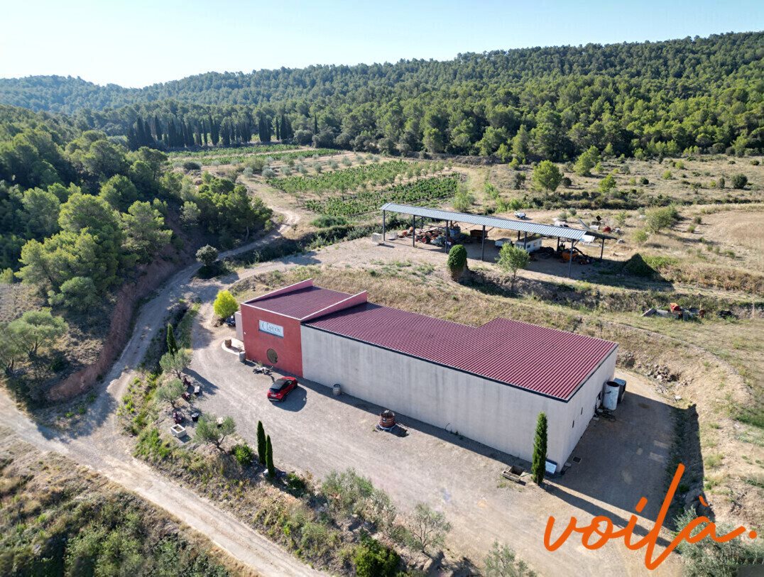 Maison à vendre, 450m², Narbonne