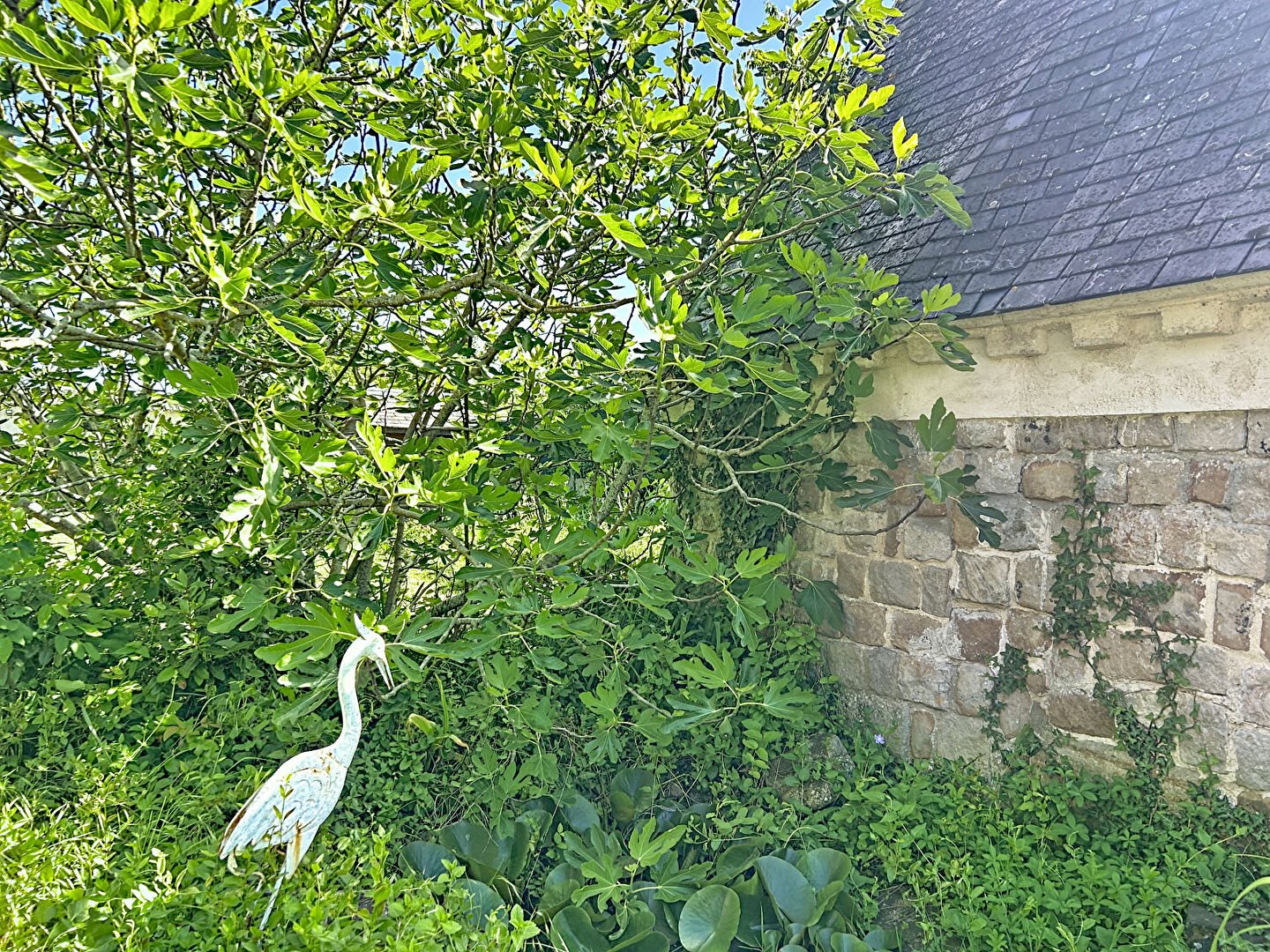 Maison à vendre, 229m², Seiches-sur-le-Loir