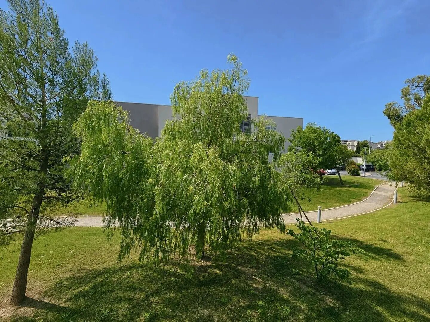 Appartement à vendre, 44m², Fréjus