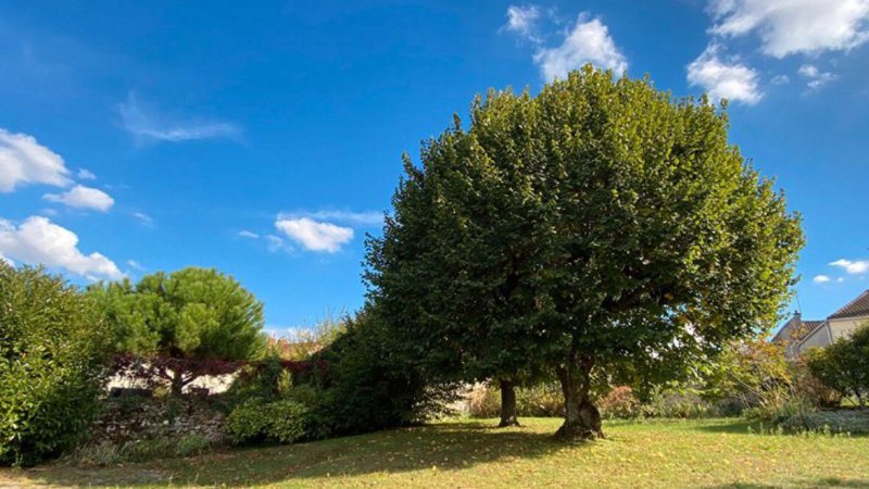Maison à vendre, 8m², Le Coudray-Montceaux