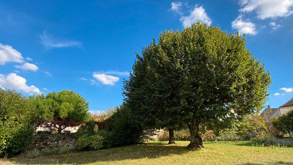 Maison à vendre, 350m², Le Coudray-Montceaux