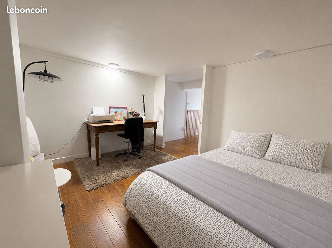 Appartement à vendre, 50m², Lyon 7ème