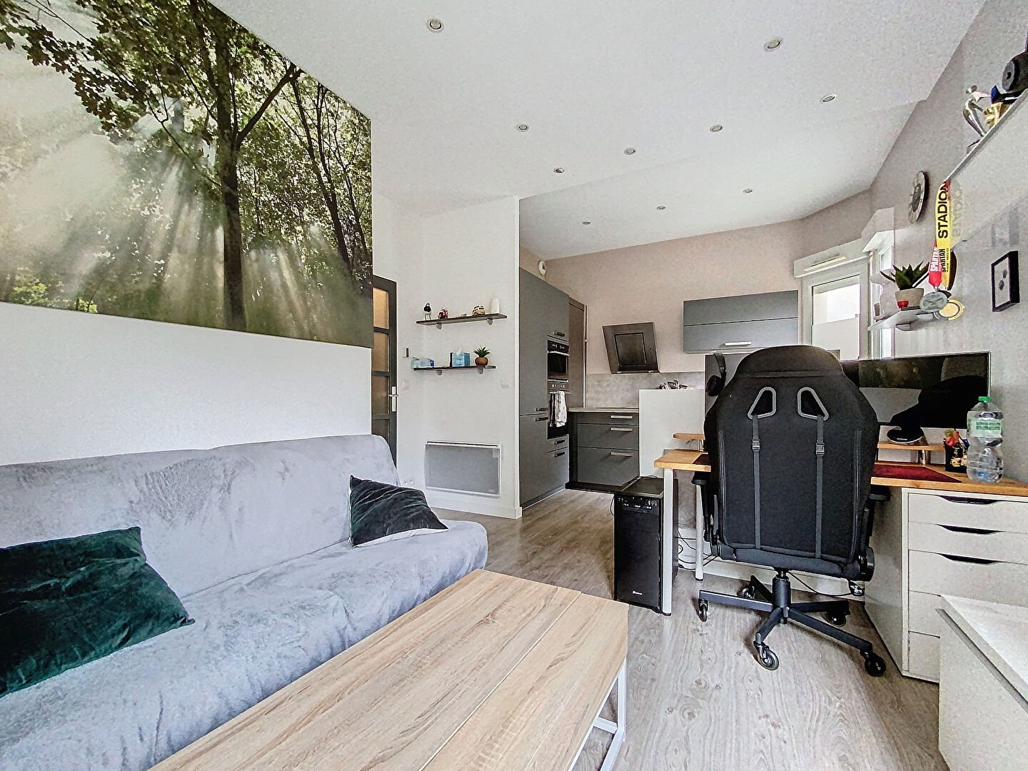 Appartement à louer, 31m², Nogent-sur-Marne