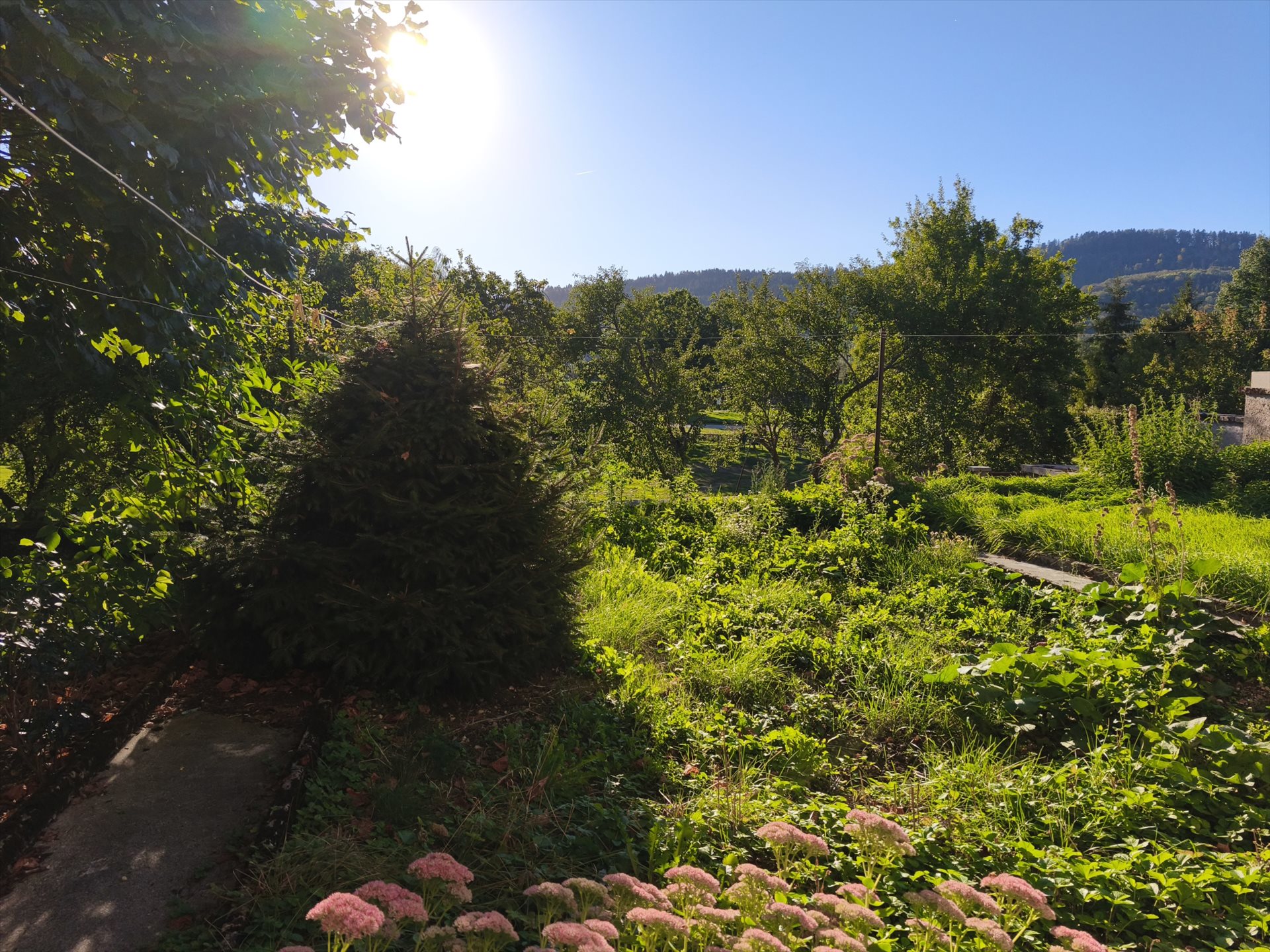 Maison à vendre, 120m², Brénod