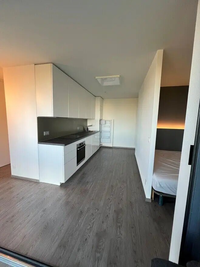 Appartement à louer, 38m², Lille