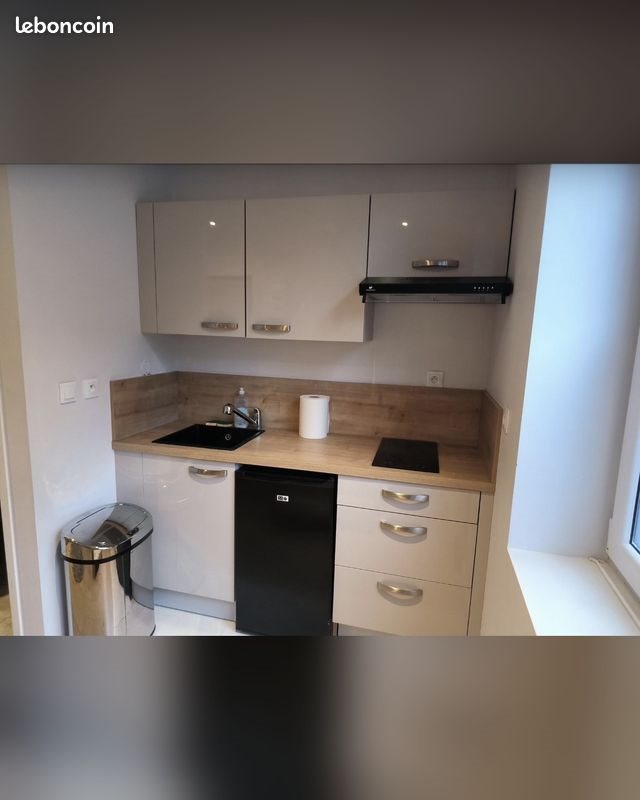 Appartement à vendre, 17m², Lille