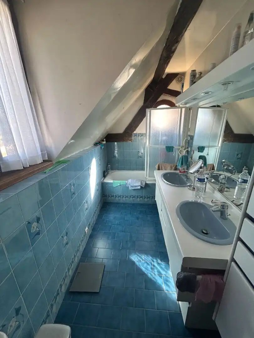 Maison à vendre, 280m², Bornel