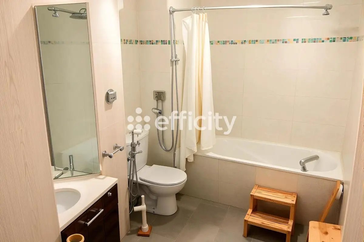 Appartement à vendre, 46m², Issy-les-Moulineaux