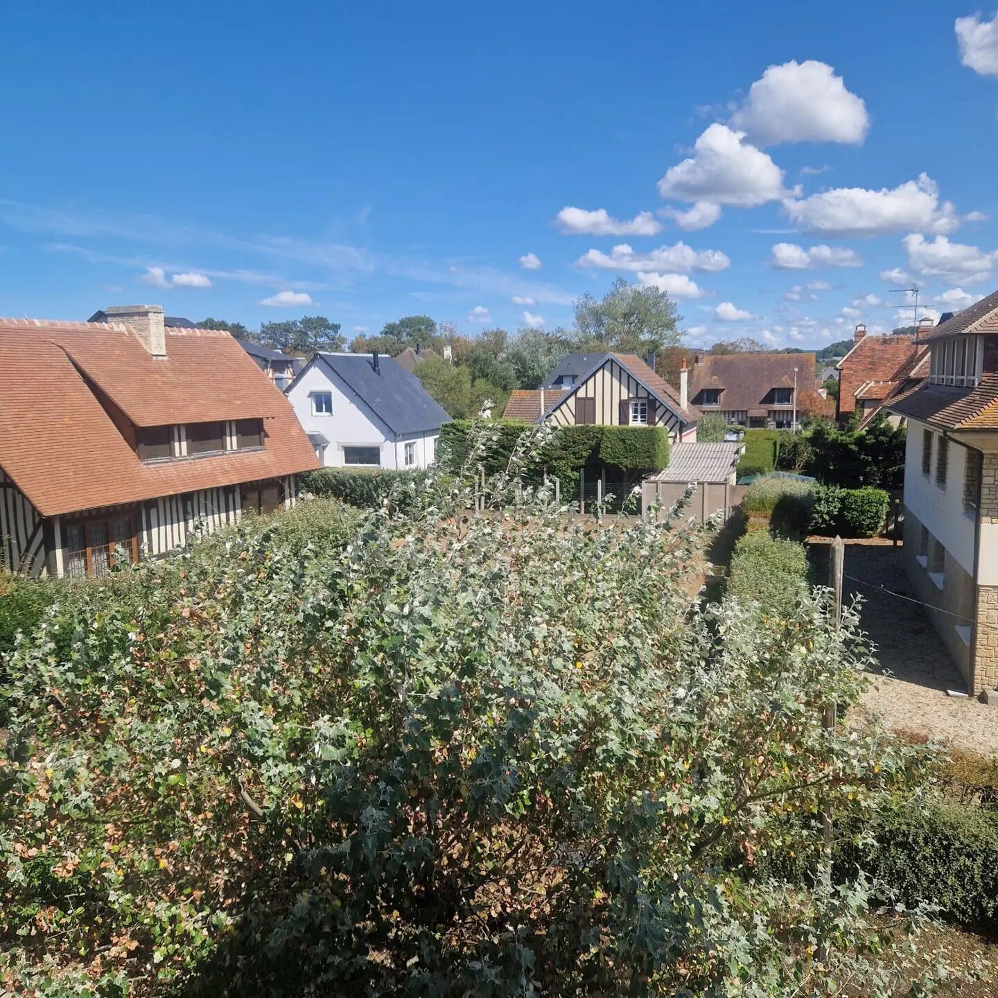 Appartement à louer, 21m², Benerville-sur-Mer