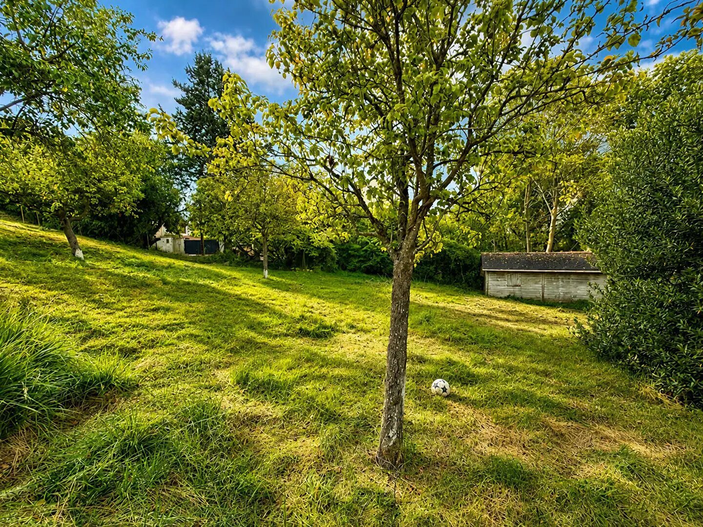 Maison à vendre, 20m², Chessy