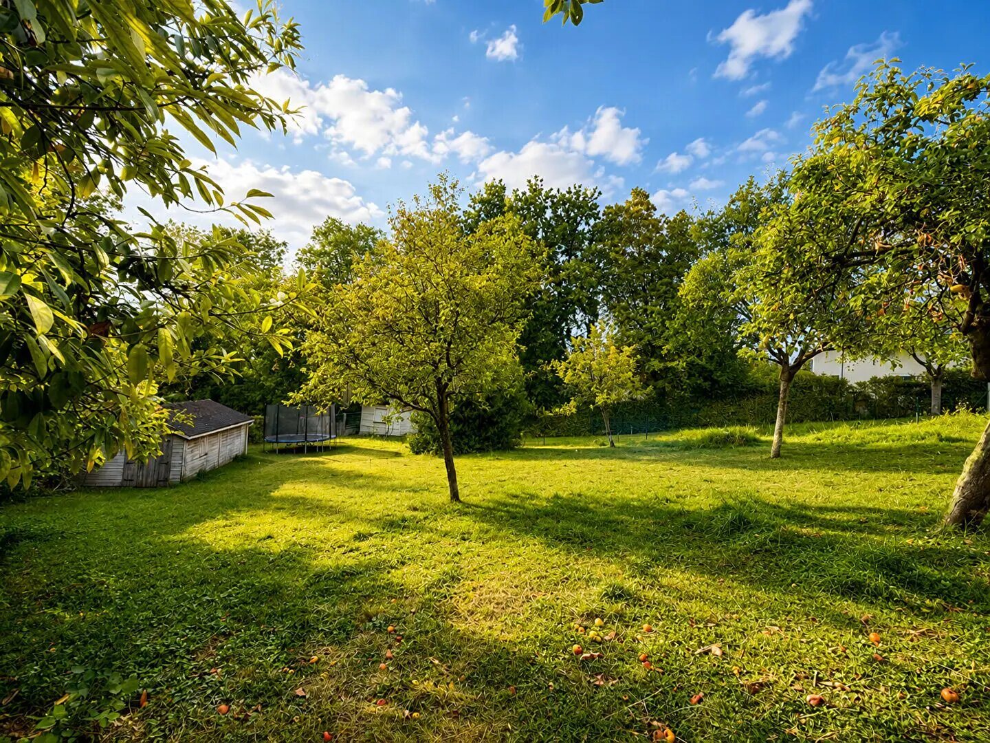 Maison à vendre, 20m², Chessy