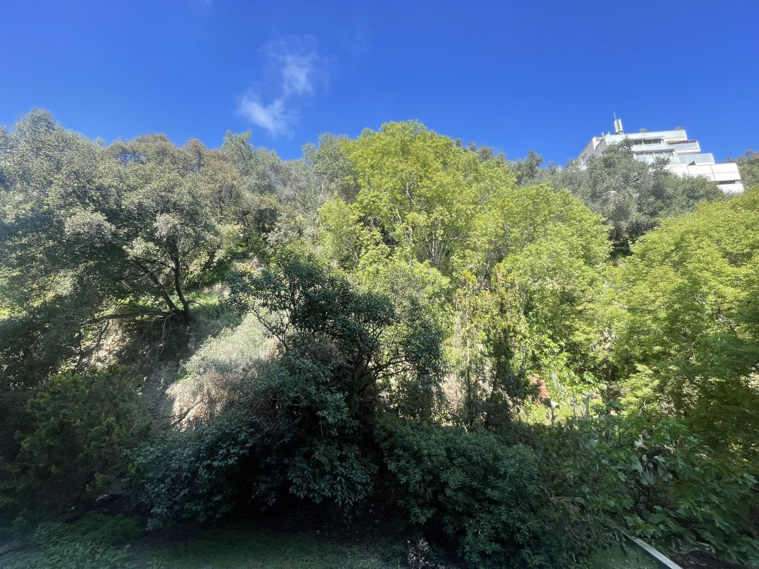 Appartement à vendre, 31m², Nice