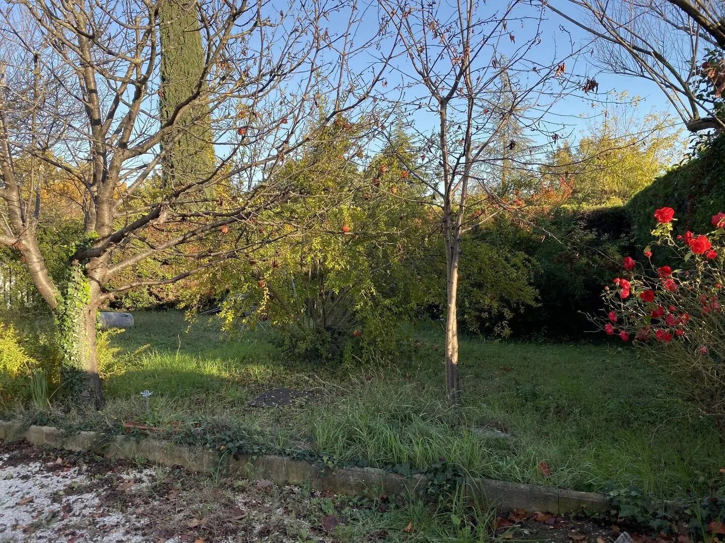 Appartement à louer, 60m², Meyreuil