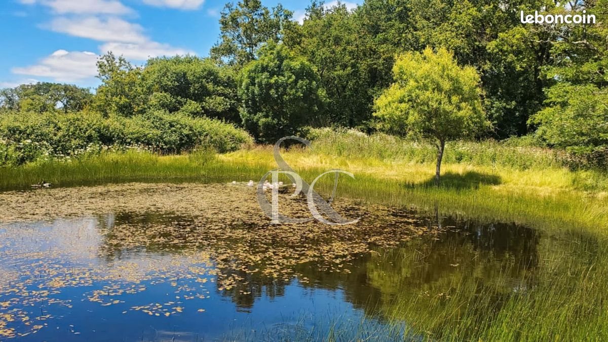 Maison à vendre, 170m², La Boissière-des-Landes