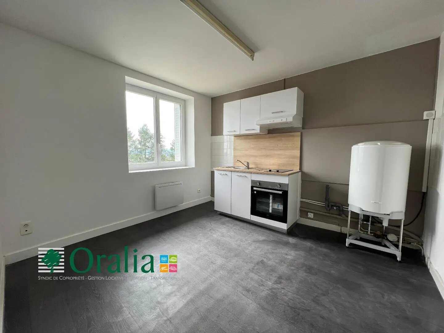 Appartement à louer, 38m², Panissières