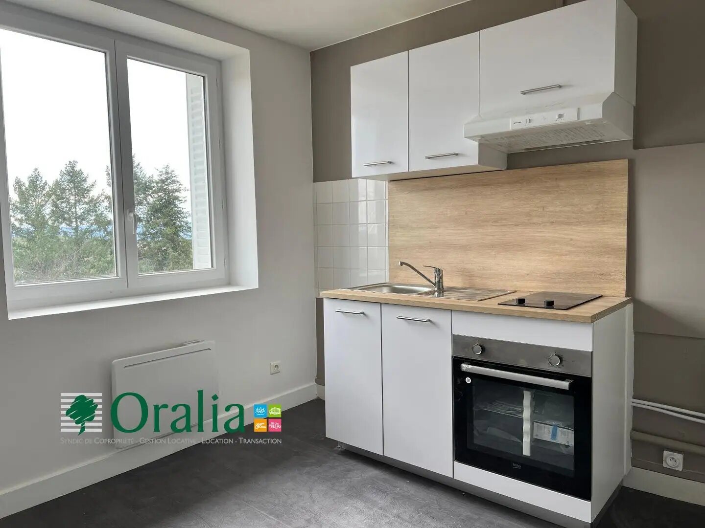 Appartement à louer, 38m², Panissières
