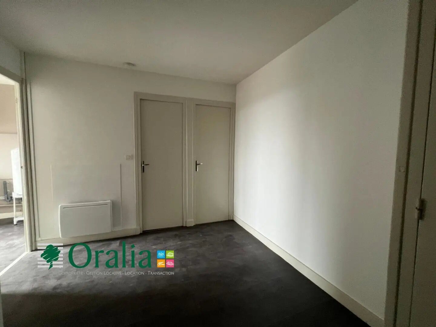 Appartement à louer, 38m², Panissières