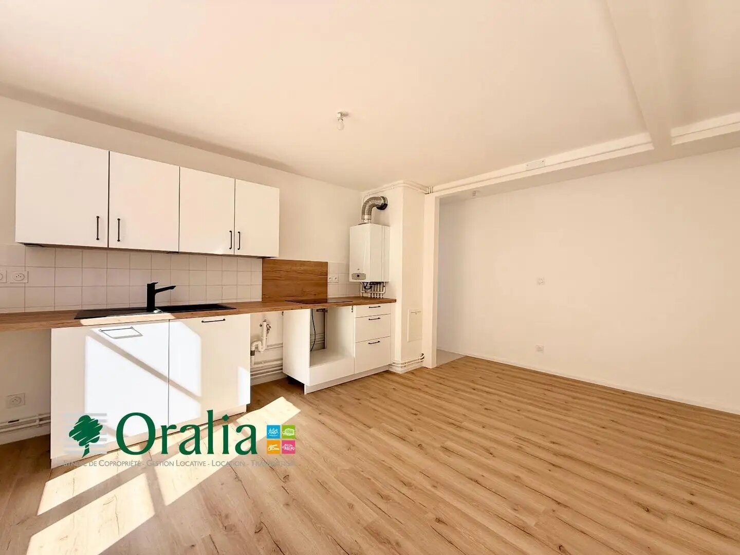 Appartement à louer, 85m², Tarare