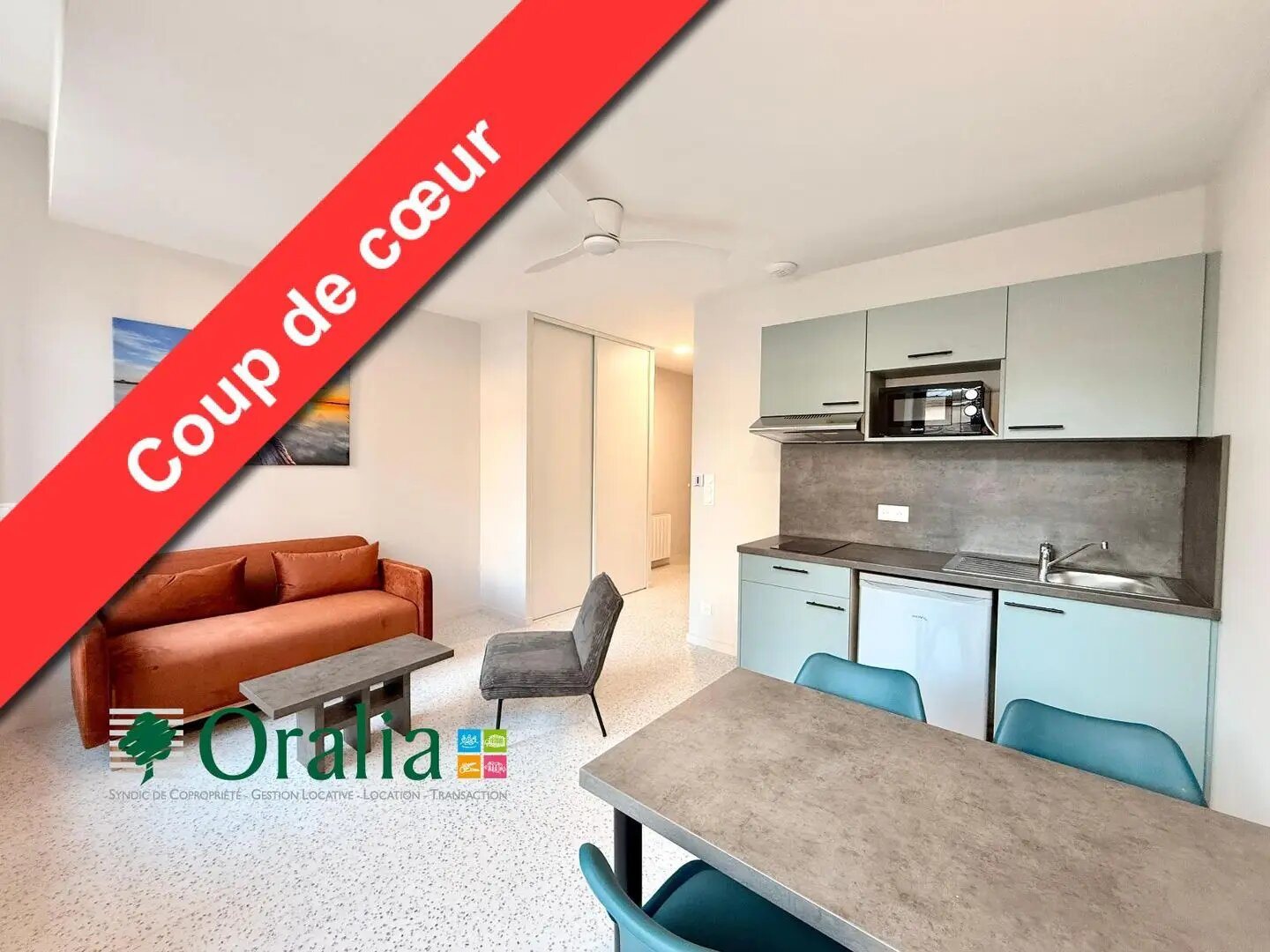 Appartement à louer, 26m², Tarare