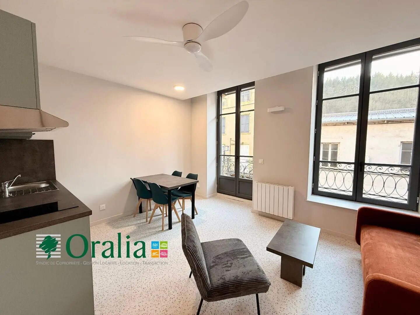 Appartement à louer, 26m², Tarare
