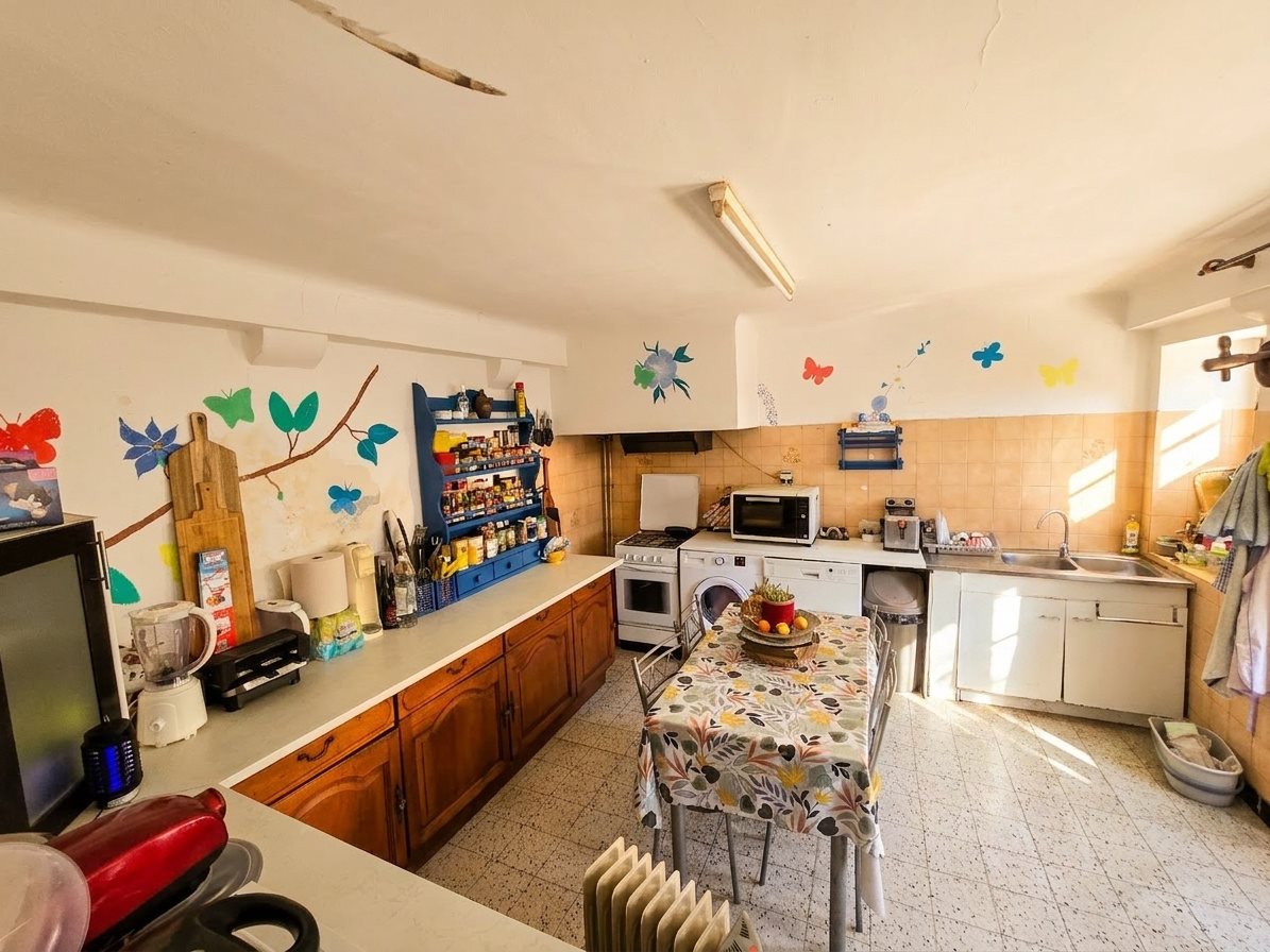 Maison à vendre, 270m², Sauveterre-de-Béarn