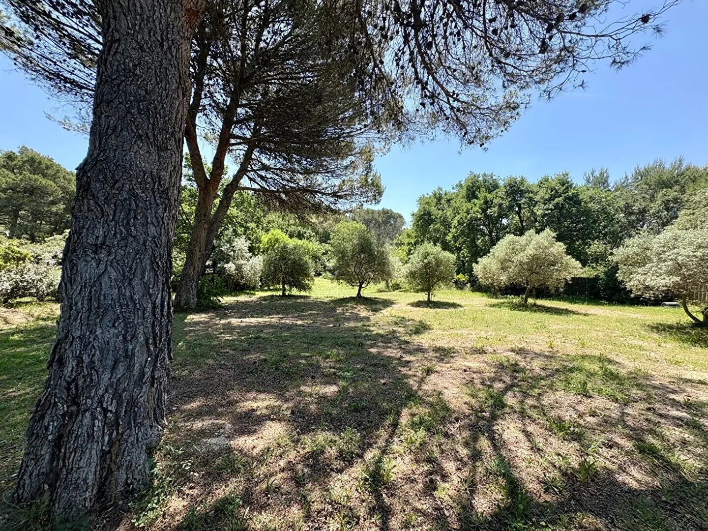 Maison à vendre, 240m², Lambesc