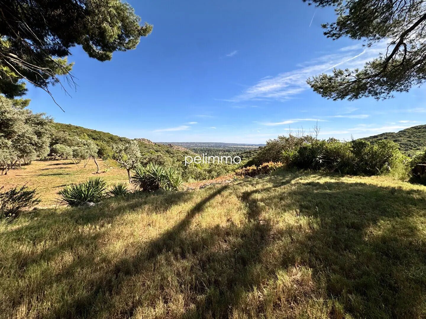 Maison à vendre, 250m², Pélissanne