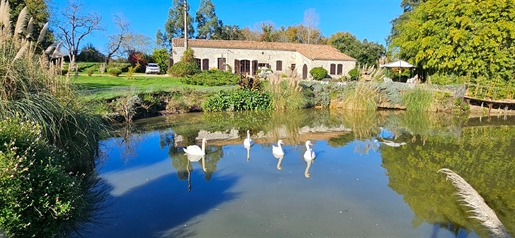 7 pièces 270 m² · à Fourcès · 270 m² · 345 000 €