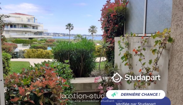Appartement à louer, 34m², Antibes