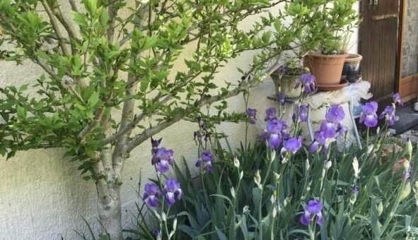 Maison à louer, 31m², Courcouronnes