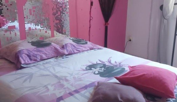 Appartement à louer, 11m², Montauban