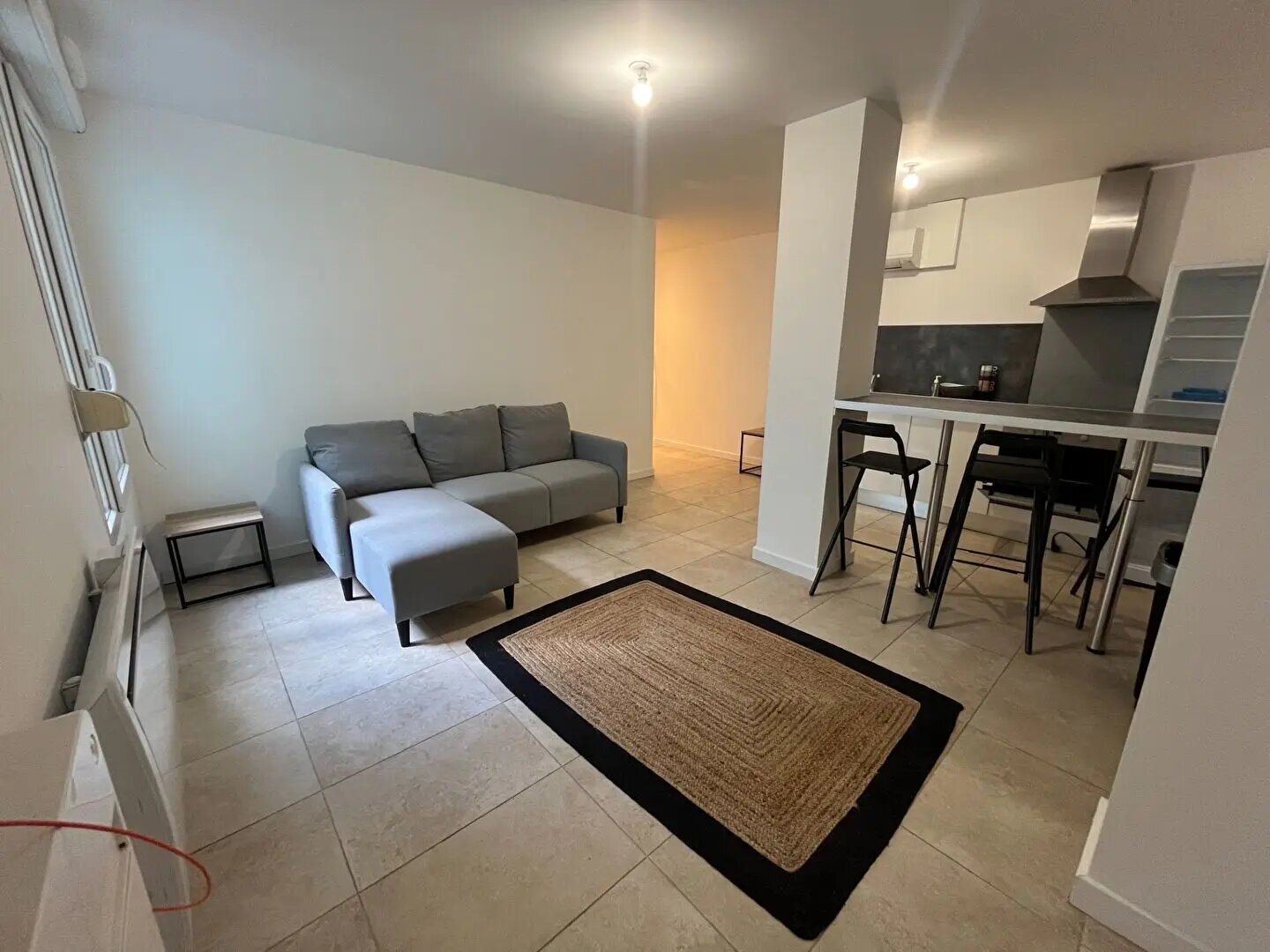 Appartement à louer, 66m², Lyon 7ème