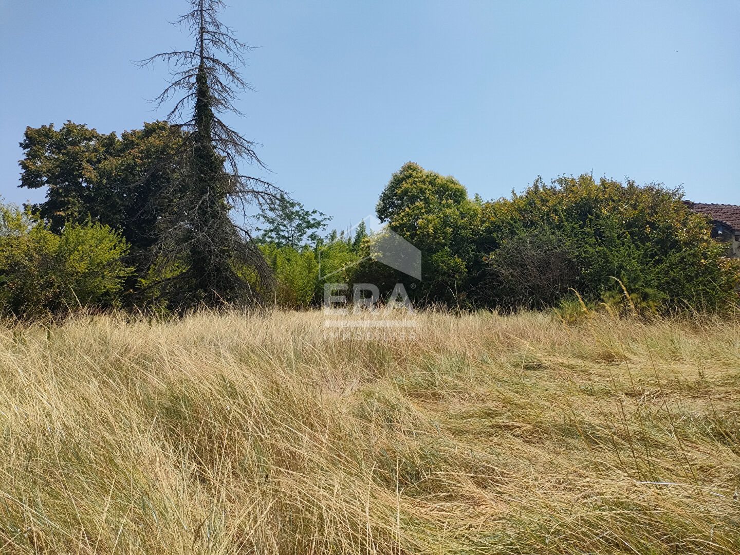 Maison à vendre, 236m², Saint-Christoly-de-Blaye