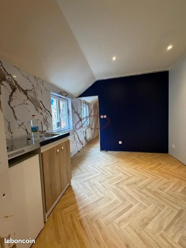 Appartement à vendre, 240m², Roubaix