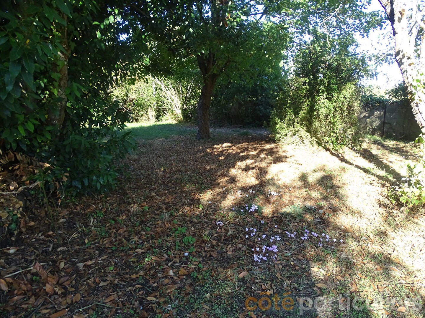 Maison à vendre, 70m², Lignières