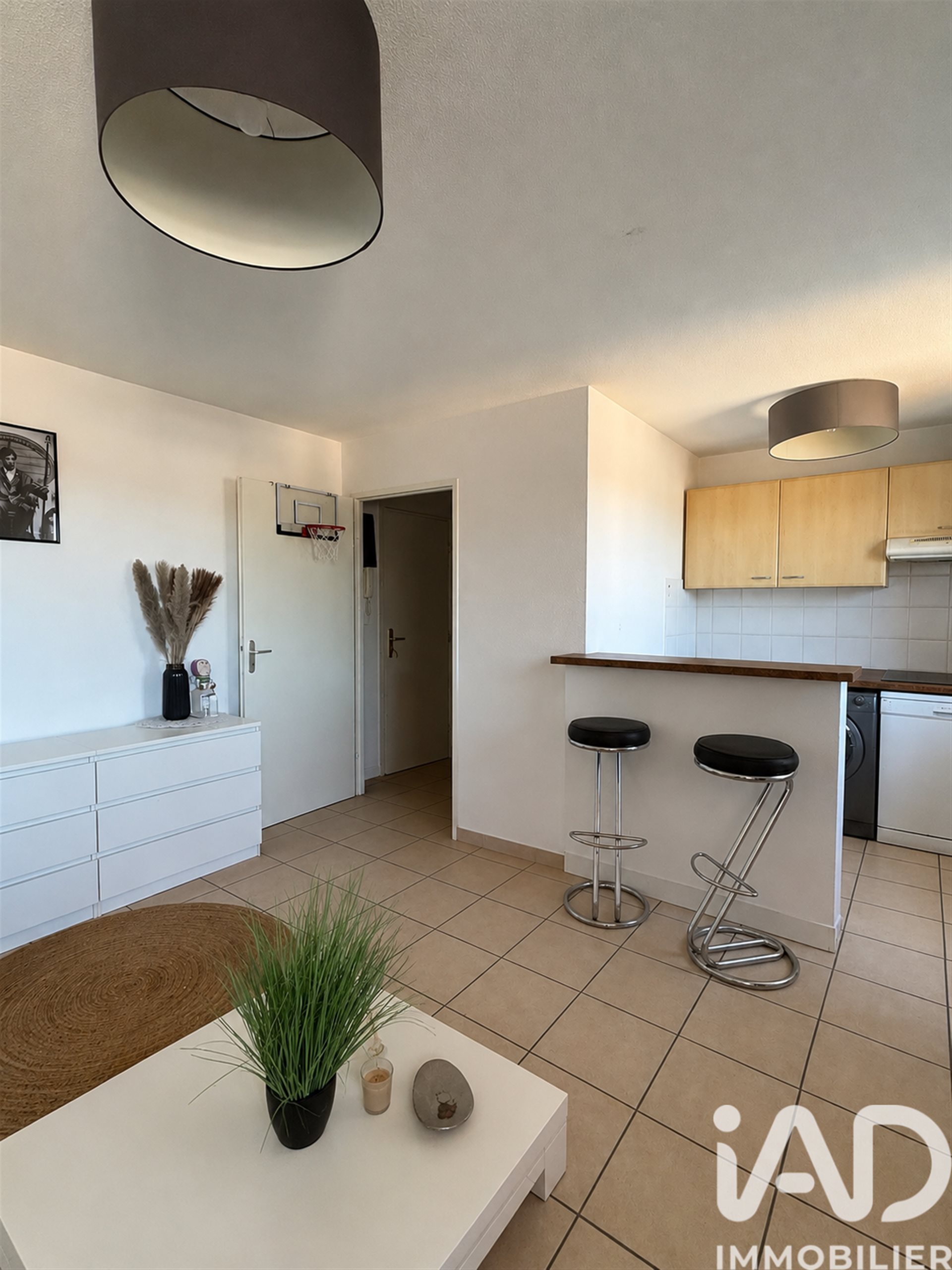 Appartement à vendre, 46m², Castelginest