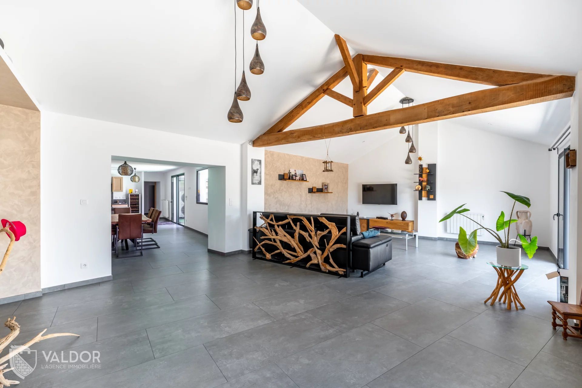 Maison à vendre, 225m², Cormoranche-sur-Saône