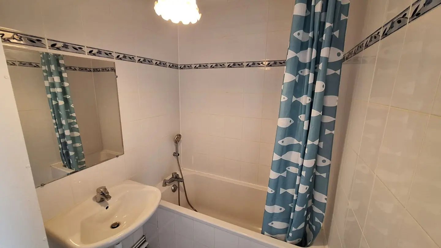 Appartement à louer, 38m², Saint-Maur-des-Fossés