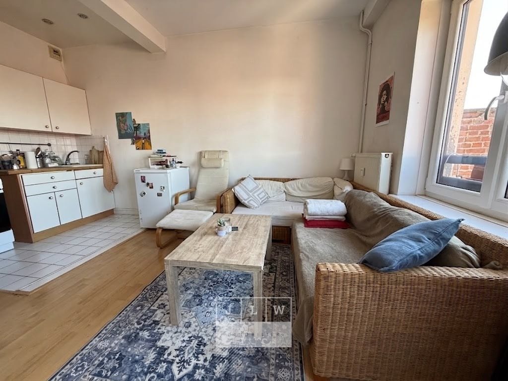Appartement à vendre, 35m², Lille