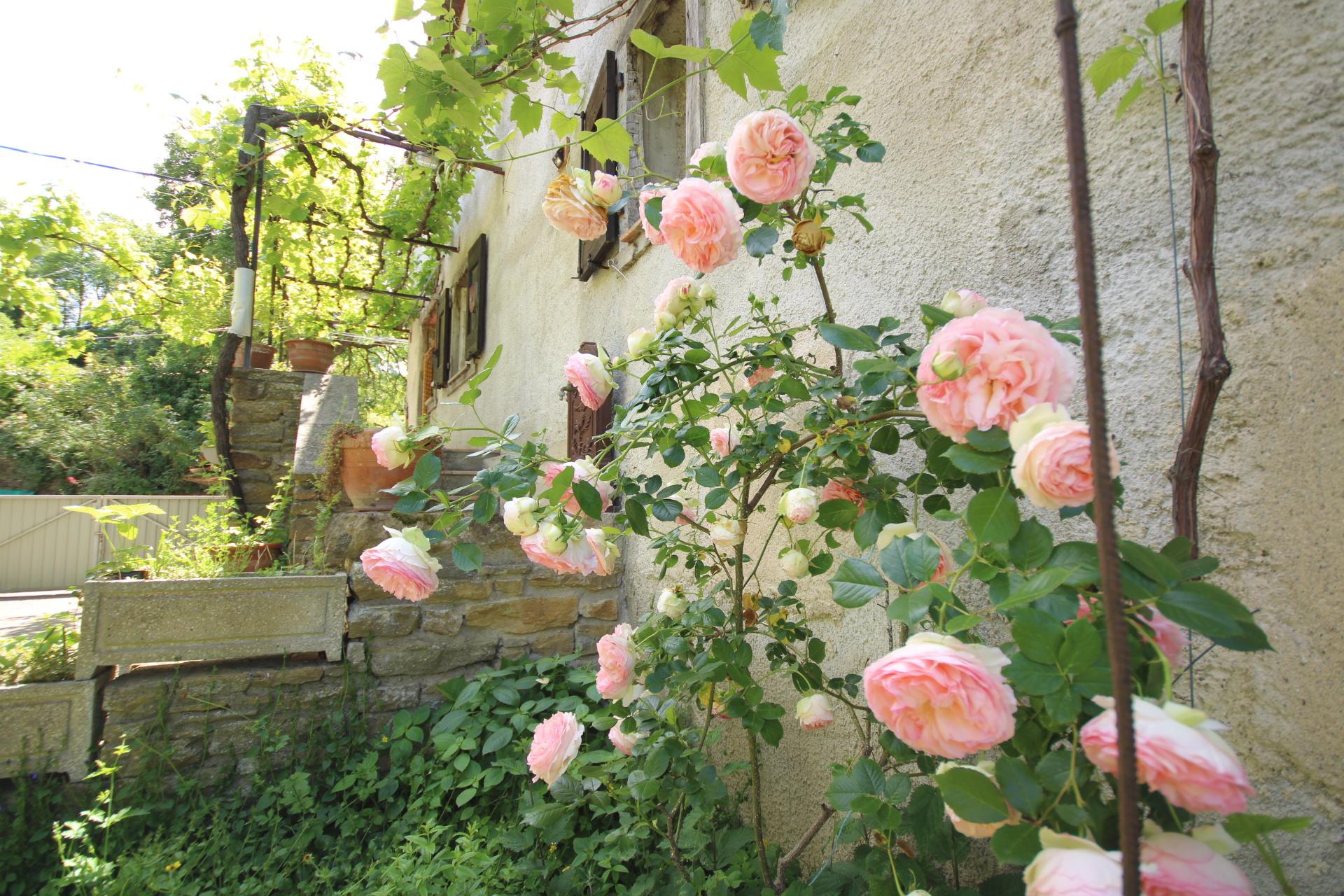 Maison à vendre, 137m², Chalabre